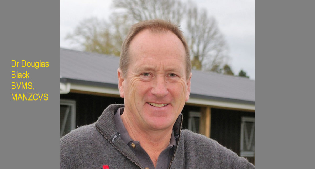 Q&A with top racehorse veterinarian Douglas Black