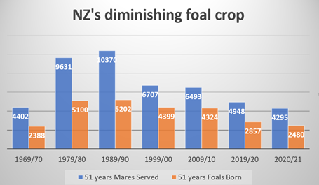 Alarming foal crop projection for 2021 as NZTR  administratively expands