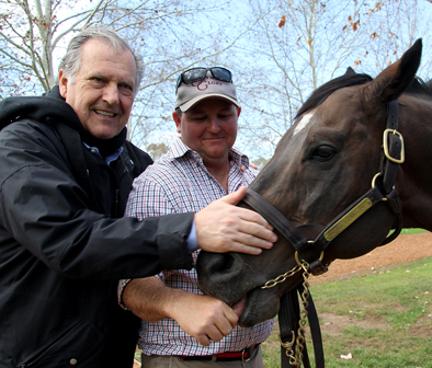 Sharemarket the main driving force  behind rising bloodstock prices