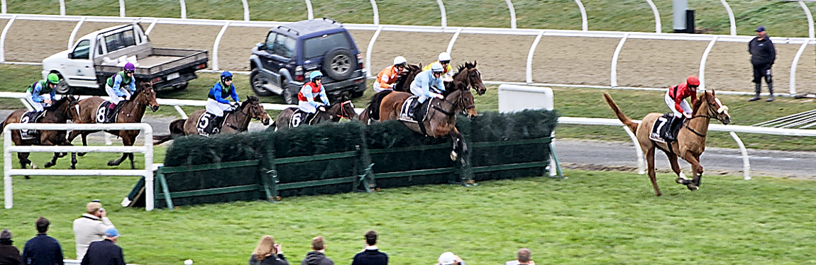 NZTR will harm the thoroughbred industry by banning jump racing